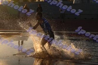DSC_1229