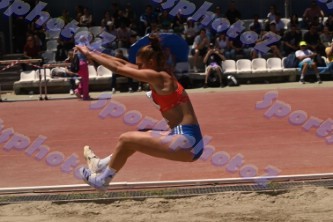 DSC_2231