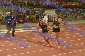eDSC_0212