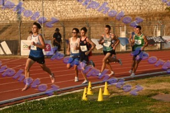 DSC_4961