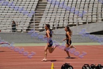 DSC_1290