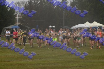 DSC_5148