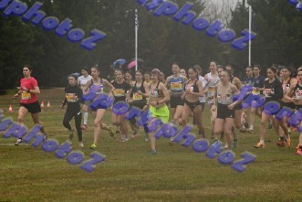 DSC_5151