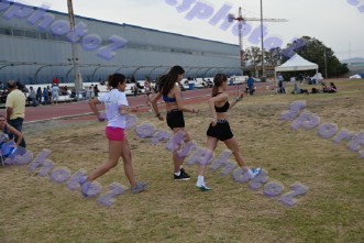 DSC_6447