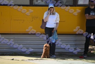 DSC_1602