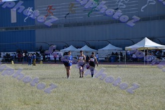 DSC_6946