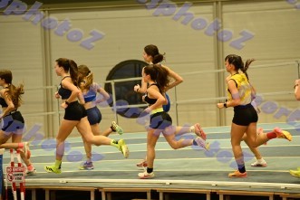 eDSC_0291
