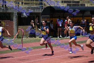 eDSC_0239