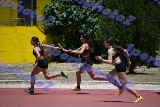 eDSC_0338