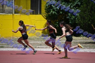 eDSC_0339