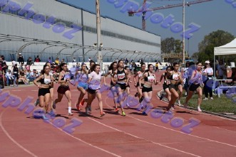 DSC_7522