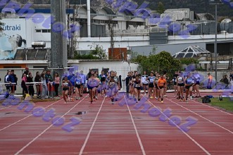 DSC_6921