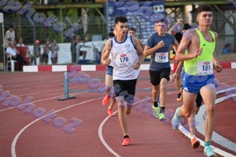 DSC_7304