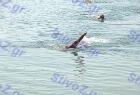 aquathlon_129