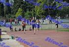 pallini_324