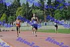 pallini_325