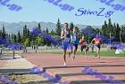 pallini_335