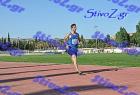 pallini_343