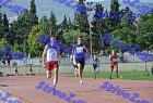 pallini_357