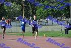 pallini_378