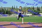 pallini_381