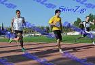pallini_382