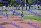 pallini_408