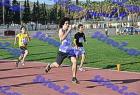 pallini_433