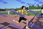 pallini_434