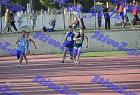 pallini_455