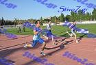 pallini_459