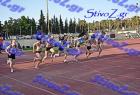 pallini_494