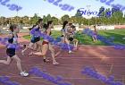pallini_497
