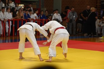 DSC_5048