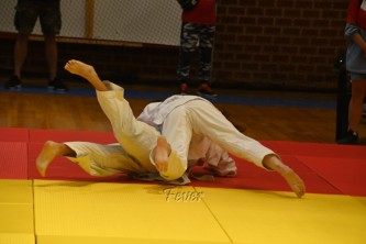 DSC_6016