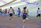 pp2011_B_tel_215