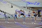 pp2011_B_tel_217