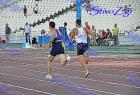 pp2011_B_tel_225