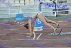 pp2011_B_tel_240