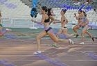 pp2011_B_tel_250