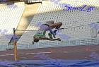 pp2011_B_tel_299