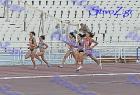 pp2011_B_tel_300