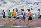 pp2011_B_tel_369