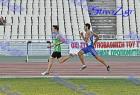 pp2011_B_tel_380