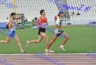 pp2011_B_tel_449