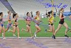 pp2011_B_tel_541