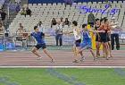 pp2011_B_tel_688