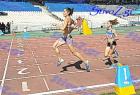pp2011_B_pr_293