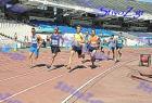 pp2011_B_pr_331