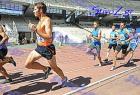 pp2011_B_pr_334